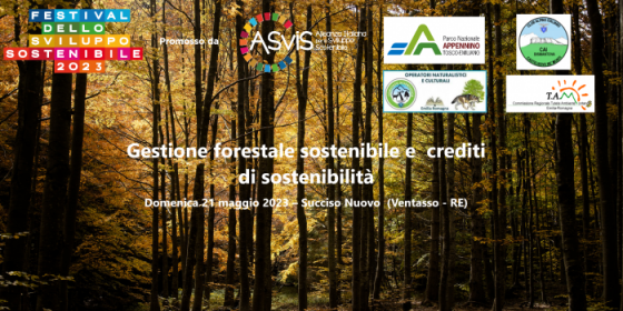 Gestione forestale sostenibile e crediti di sostenibilità