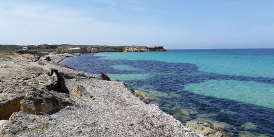 Le giornate scientifiche di Arpas: tutela e gestione della Posidonia oceanica